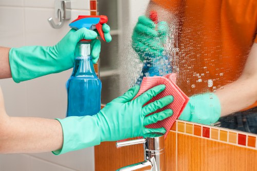 Residential cleaning in West Kensington focusing on hygiene and organization
