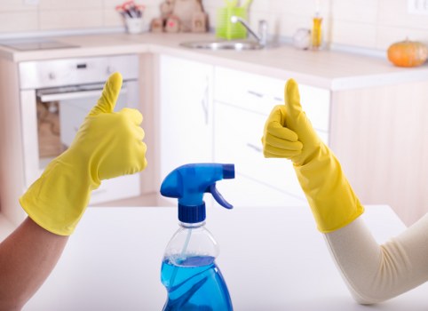 Professional window cleaning in West Kensington for bright and clear glass