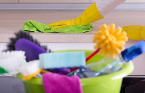 Professional carpet cleaner in Westkensington cleaning a living room carpet