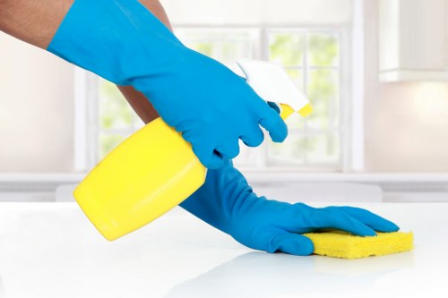 Local window cleaning service for homes and businesses in West Kensington