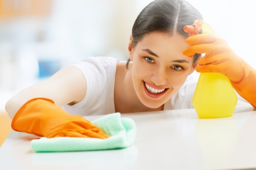 One-off and deep cleaning service illustration