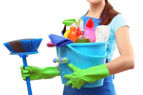 Commercial cleaners in West Kensington maintaining a tidy office