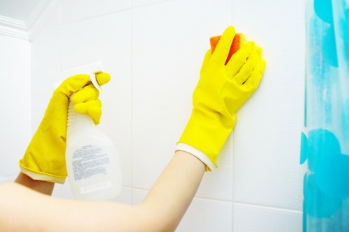 Deep carpet cleaning equipment in a Westkensington home