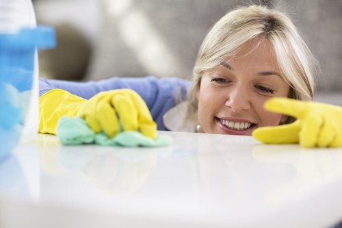 Oven cleaner removing grease and burnt residue