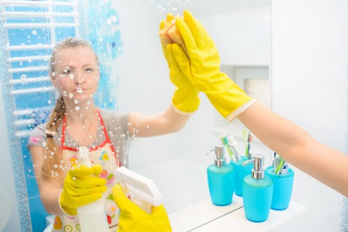Domestic cleaning service in Westkensington focusing on kitchen surfaces