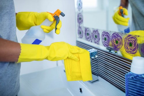 Thorough property deep cleaning in Westkensington