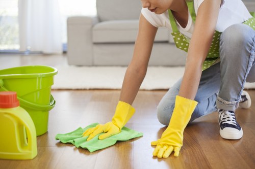 Kitchen appliance detailing during oven cleaning in Westkensington